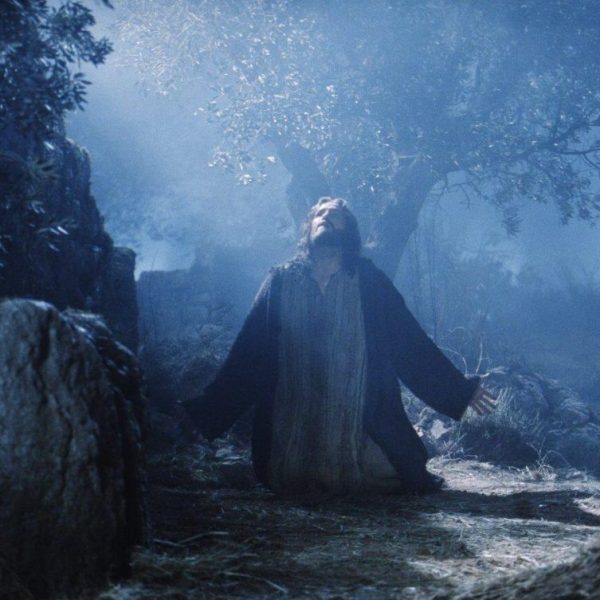 Niech się stanie wola Twoja! (Módlmy&nbsp;się)