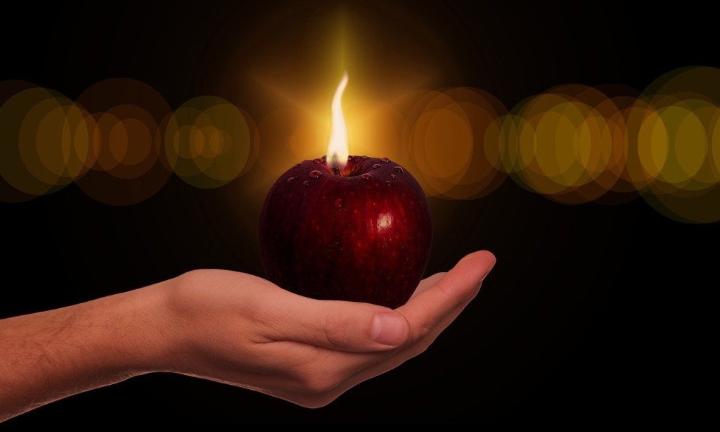 Rozum i wola – oręż&nbsp;katolika