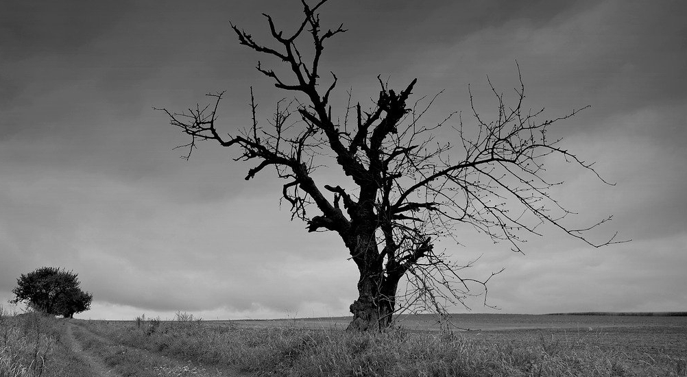 O oziębłości w wierze – Oznaki, następstwa i środki&nbsp;zaradcze