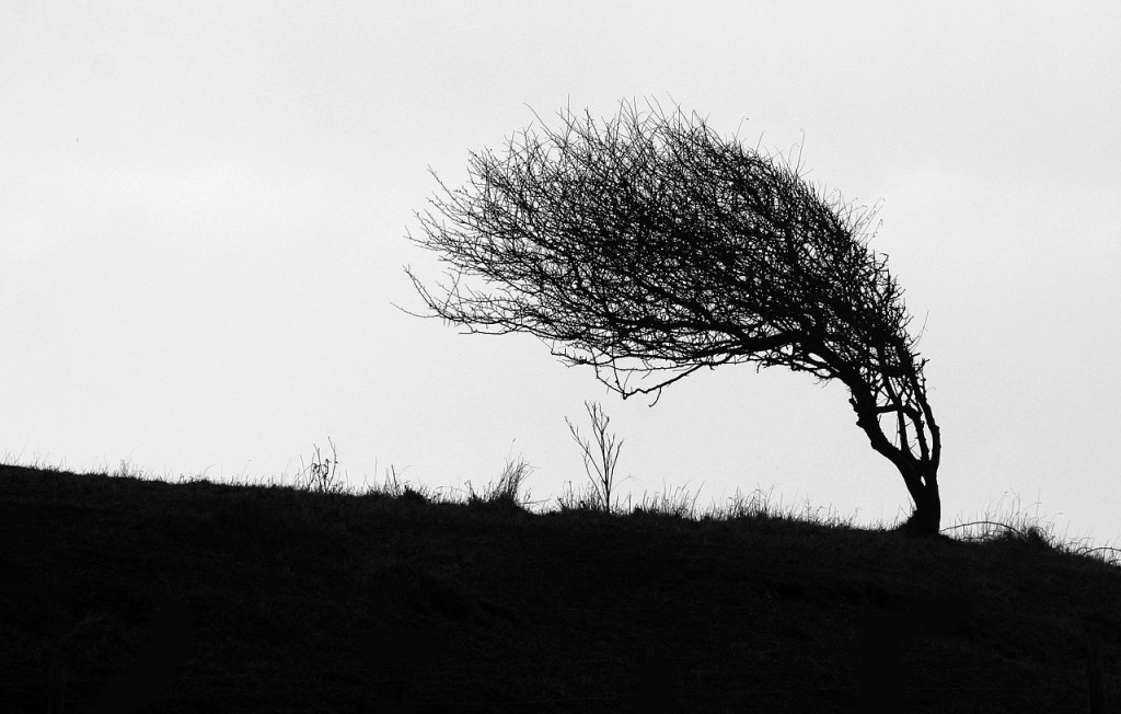 Z zimna serce nie&nbsp;pęka