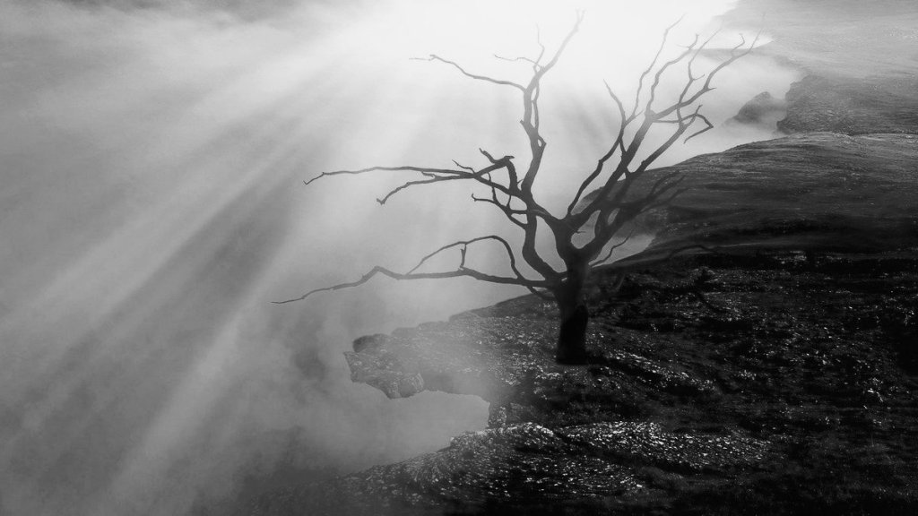 Czym jest grzech śmiertelny? – Św. J.&nbsp;Pelczar