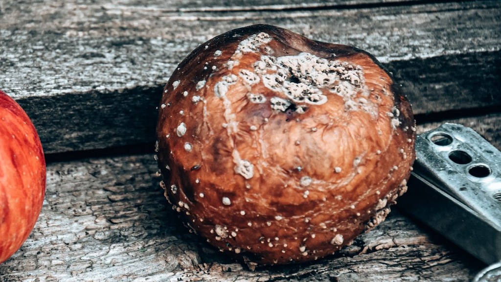 Szaleństwem jest rozmyślać o apokalipsie zapominając o własnej&nbsp;duszy