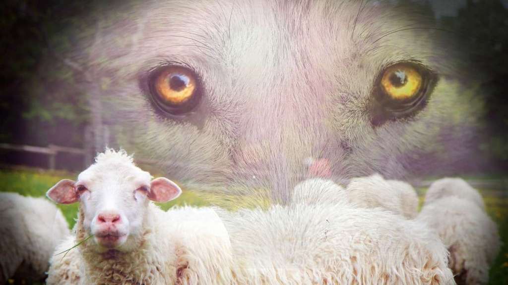 W sidłach fałszywych tajemnic, objawień i&nbsp;proroków