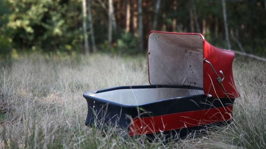 Zrozumieć Franciszka – Papieska Akademia Życia chce rewolucji w teologii moralnej, w tym zezwolenia na&nbsp;antykoncepcję